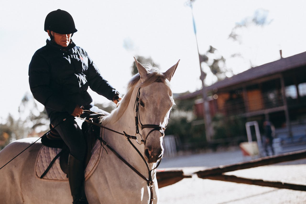 Man in equestrian gear riding a white horse outdoors during sunset.