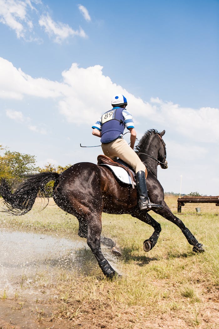 A skilled equestrian rider on a horse jumping over a water obstacle during a competition, showcasing speed and agility.