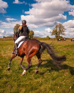 An equestrian rider competes in an open field on a sunny day with blue skies and clouds.