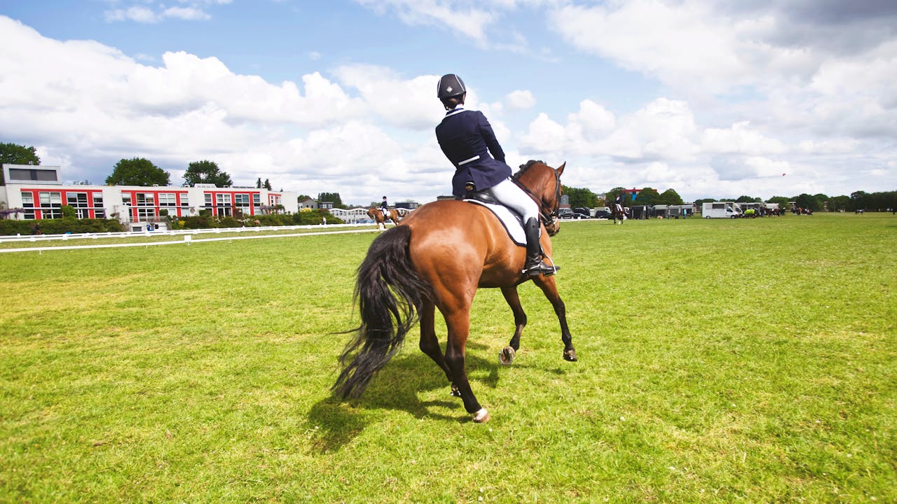 A horse rider participating in a dressage event outdoors under a bright sky.